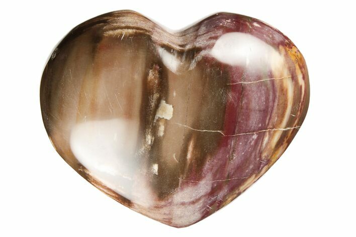 Polished Triassic Petrified Wood Heart - Madagascar #194906